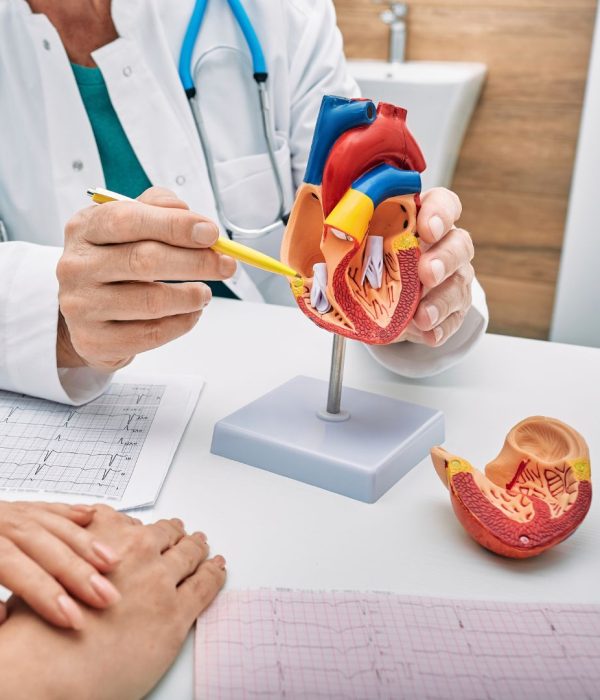 medico-cardiologista-analisando-coracao-e-arterias-cardiologia-clinica-santa-maria